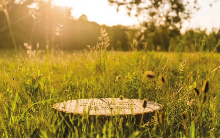 Houten boomschijf natuurbegraafplaats