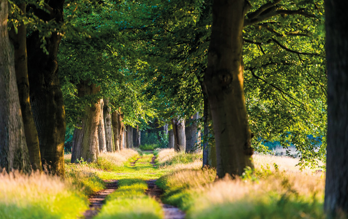 Natuurbegraafplaats Heidepol