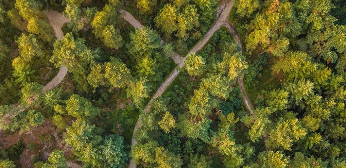 Wat is natuurbegraven?