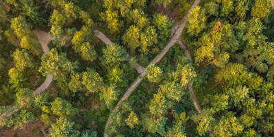 Natuurbegraven in Nederland